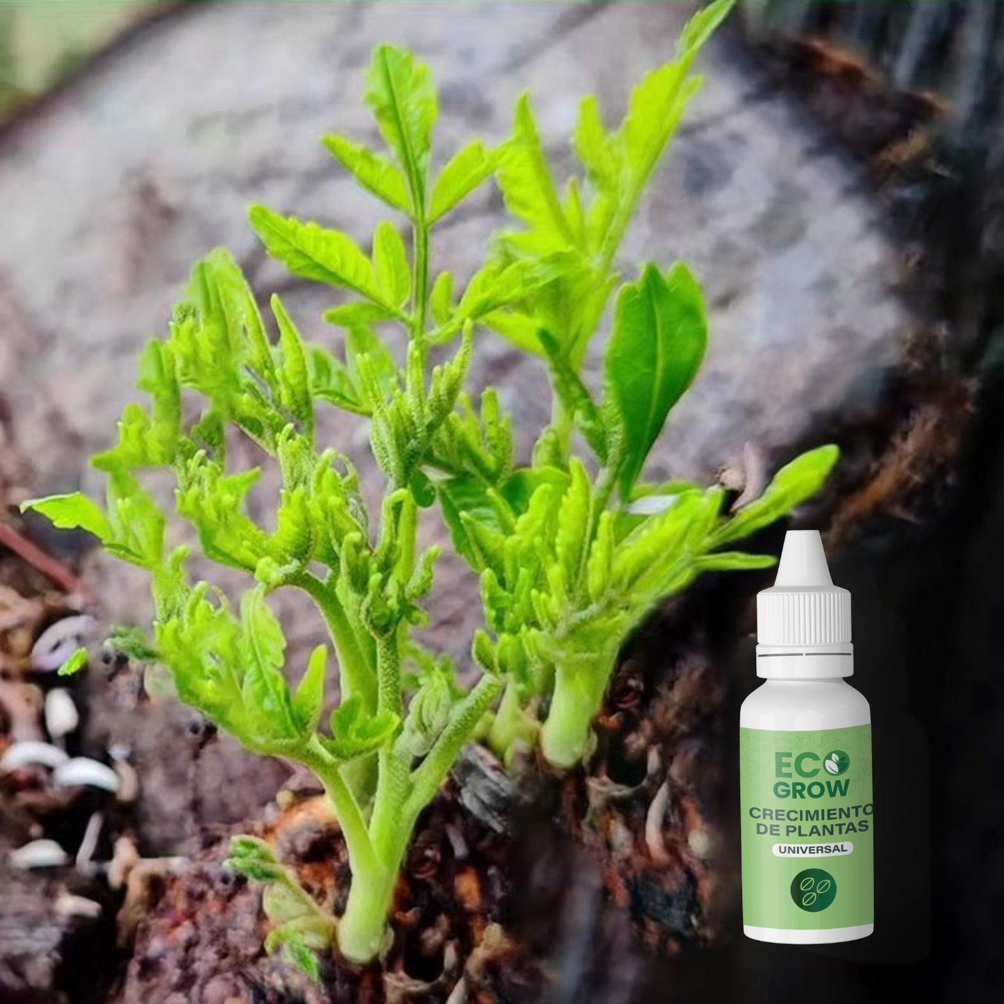 ECOGROW DELUX PARA PLANTAS